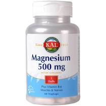 Suplimente - MAGNESIUM 500 MG 60 CPS