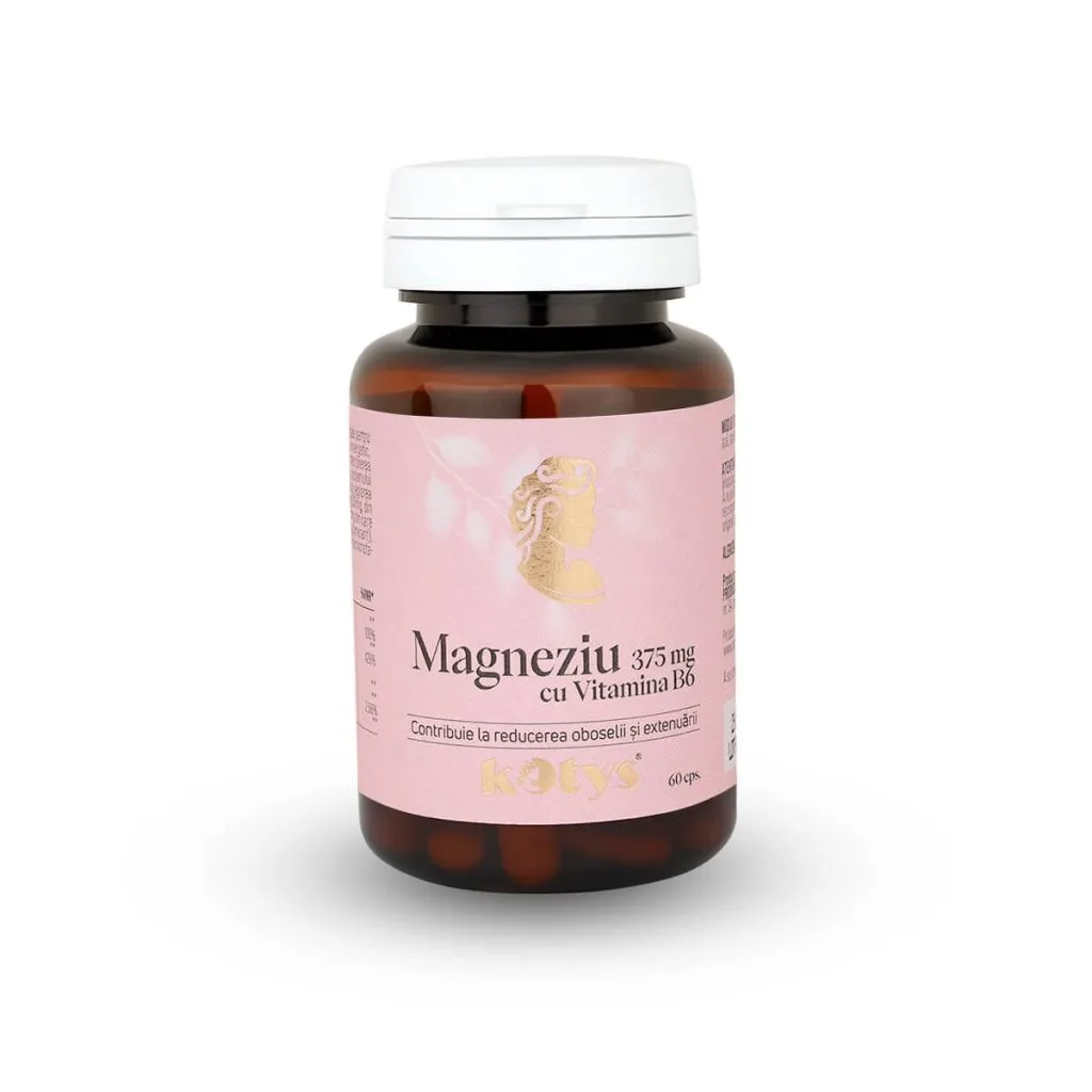 MAGNEZIU 375MG + B6 60CPS