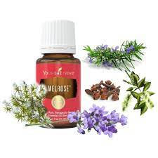 MELROSE ULEI ESENTIAL 15 ML [1]