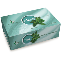 Alimentare - CEAI DE MENTA 100 DZ X 1,5 G