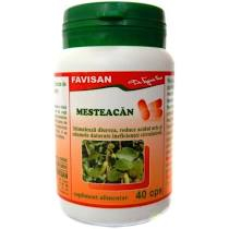 Afectiuni urinare - MESTEACAN 40 CPS