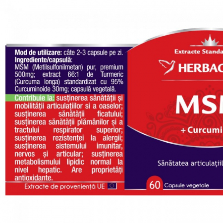 MSM 60 CPS [1]