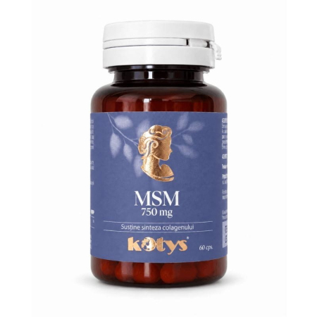 MSM 750MG 60 CPS