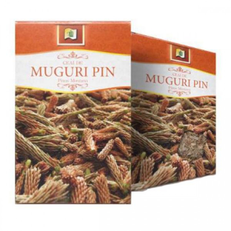 Alimentare - CEAI DE MUGURI DE PIN 50 G