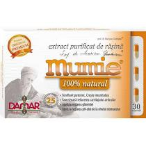 Suplimente - MUMIE - EXTRACT PURIFICAT DE RASINA 30 CPS