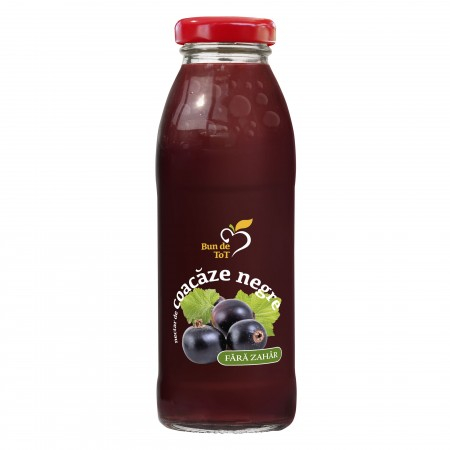 Alimentare - NECTAR COACAZ NEGRU 300 ML