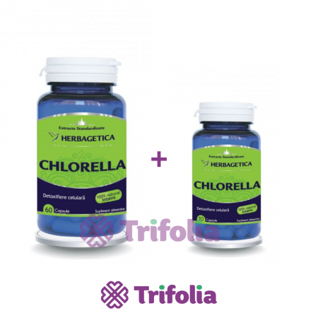 Colesterol - PACHET CHLORELLA 60 CPS +10 CPS