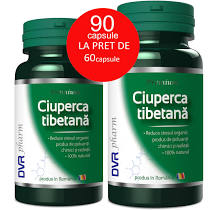 Pachete - PACHET CIUPERCA TIBETANA 60+30 CPS