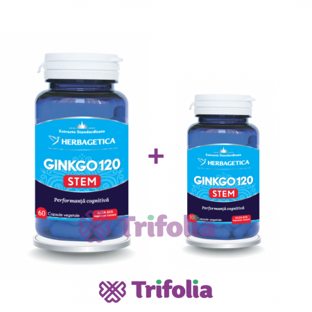 Concentrare - PACHET GINKGO STEM 60 CPS + 10 CPS