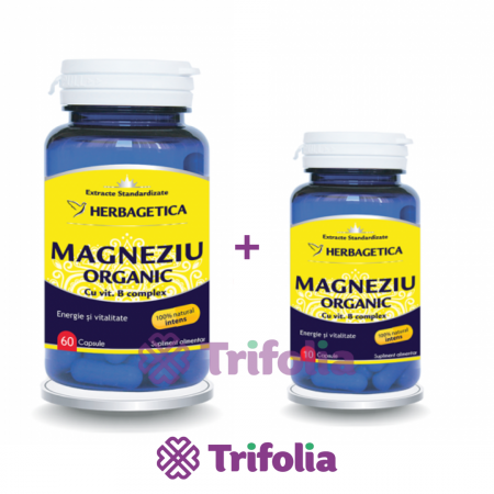 Infertilitate masculină - PACHET MAGNEZIU ORGANIC B-COMPLEX  60 CPS +10 CPS