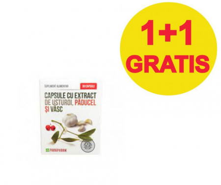 Pachete - PACHET USTUROI-PADUCEL-VASC 1+1