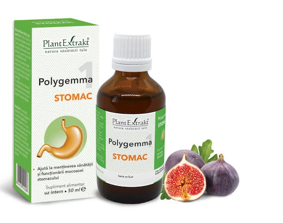 POLYGEMMA NR. 1 - STOMAC 50 ML
