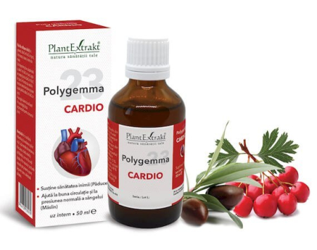 Circulație sangvină - POLYGEMMA NR.23 - CARDIO 50 ML