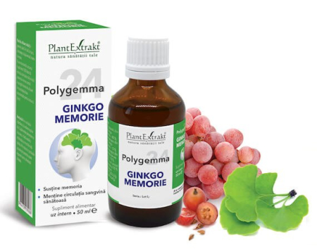 Tincturi - POLYGEMMA NR.24 - GINKGO MEMORIE 50 ML