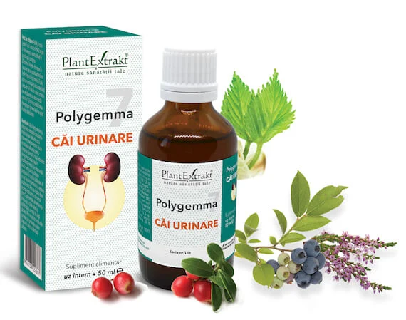 POLYGEMMA NR. 7 - CAI URINARE 50 ML