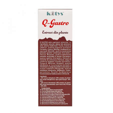 Q GASTRO 200 ML [2]