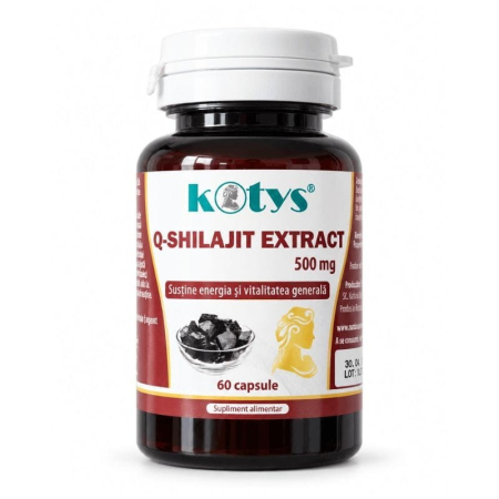 Capsule, Comprimate - Q SHILAJIT 500 MG 60CPS