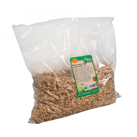 Alimentare - SEMINTE DE  IARBA GRAU SPELTA 1 KG