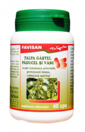 Sistemul circulator - TALPA GAlSTEI, PADUCEL SI VASC 40 CPS