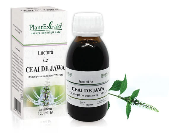 Sistemul osos si articulatii - TINCTURA CEAI DE JAWA 120 ML
