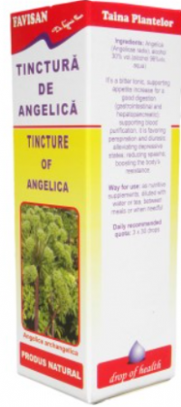Detoxifiere - TINCTURA DE ANGELICA 50 ML