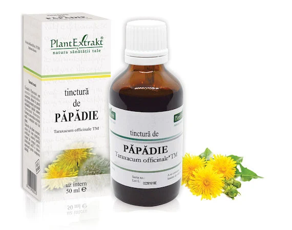 Digestie lentă - TINCTURA PAPADIE 50 ML