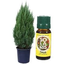Esențe și Parfumante - ULEI ESENTIAL TUIA 10 ML SOLARIS