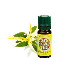 Esențe și Parfumante - ULEI ESENTIAL YLANG YLANG 10 ML SOLARIS