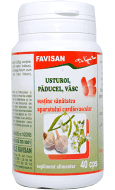 Colesterol - USTUROI, PADUCEL, VaSC 40 CPS