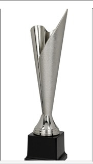 Cupa Argintie NT374 [1]