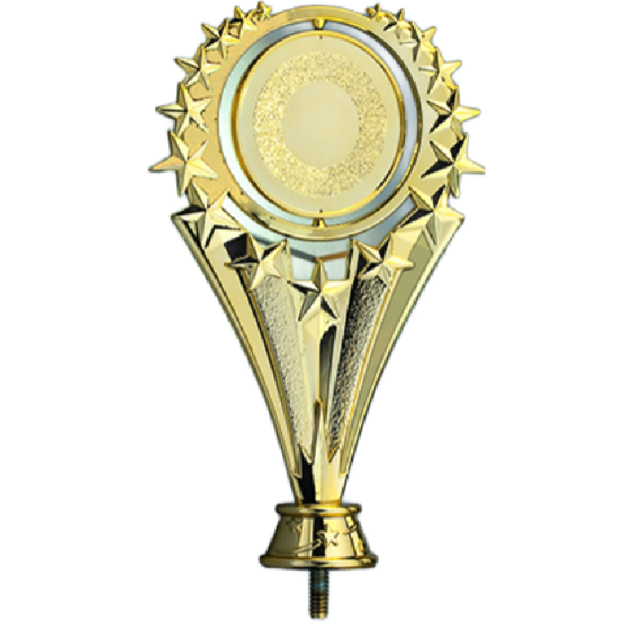 Figurina Plastic 38050 Statueta Aurie 16 5 Cm Pentru Trofee i Premii Figurina Plastic 38050 Statueta Aurie 16 5 Cm Pentru Trofee i Premii