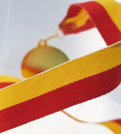 Snur Medalie Galben/Rosu [2]
