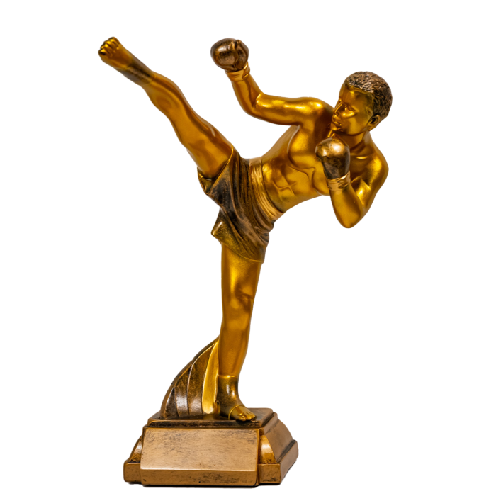 Trofeu kickboxing din rășină 39649 bronz 29 cm – premiu arte marțiale și competiții sportive [2]