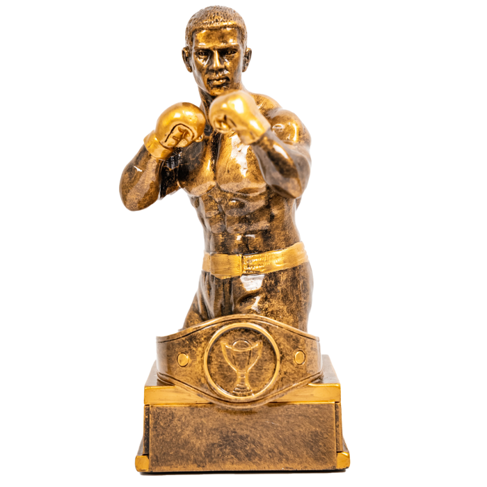 Trofeu din rășină model 39733 – premiu competiții și performanță [3]