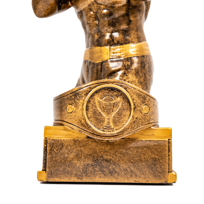 Trofeu din rășină model 39733 – premiu competiții și performanță [2]