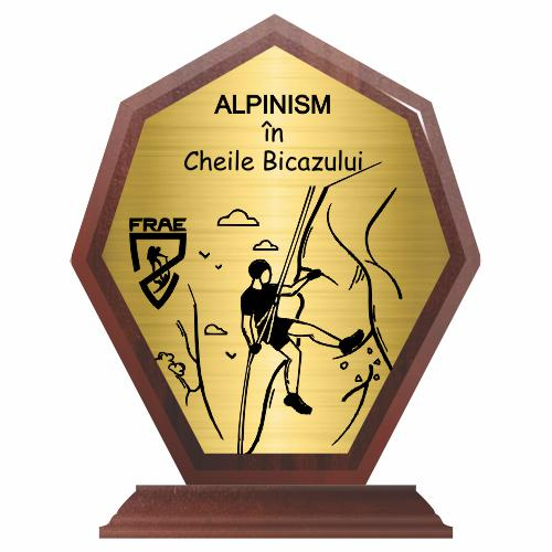 Trofeu Lemn WTR06 [2]