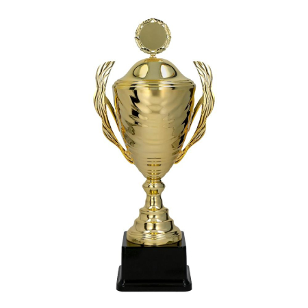 Cupe - Cupa cu Capac 2100