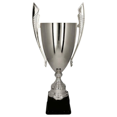 Cupe premium - Cupa Metalica Argintie 1070