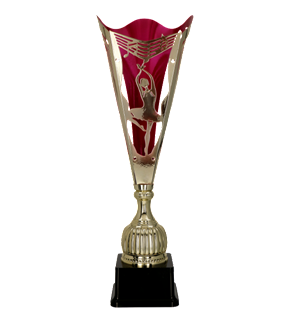 Sporturi - Cupa NT909