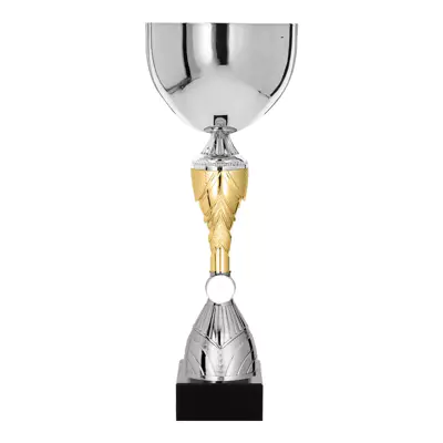 Cupe standard - Cupa NT1080