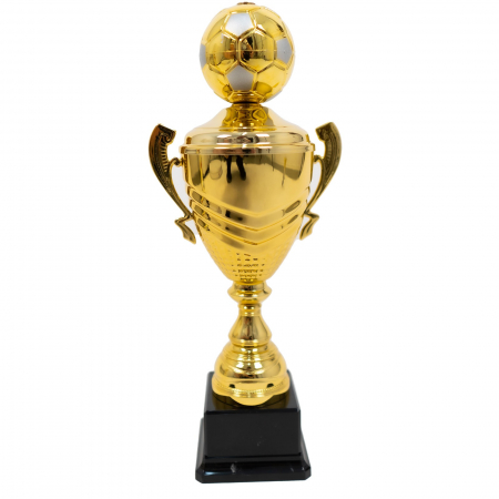 Sporturi - Cupa 3.5020.