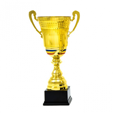 Alte ramuri sportive - Cupa N.0120.