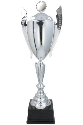 Cupe premium - Cupa W2272