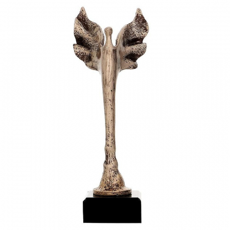 Trofee Rasina - Trofeu RFST2073/BR