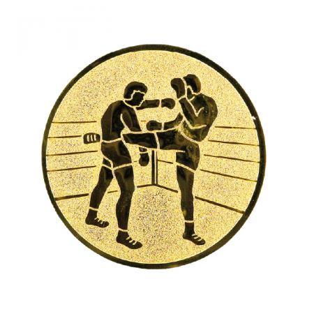 Personalizari Medalii - Folie Personalizare Kickboxing