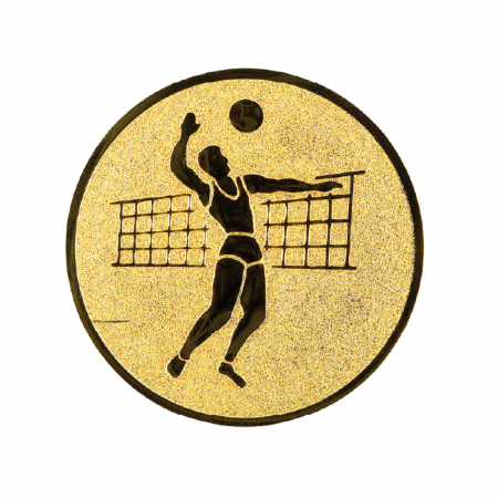 Sporturi - Folie Personalizare Volei