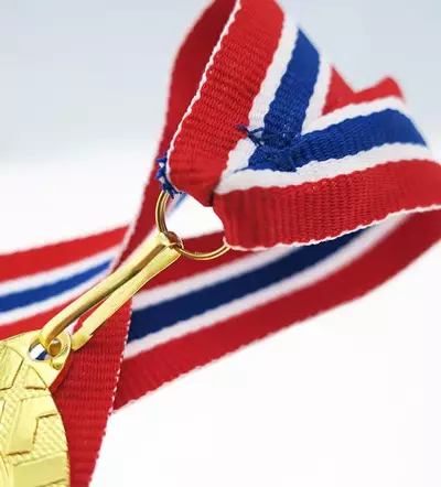 Snur Medalie Norvegian [2]