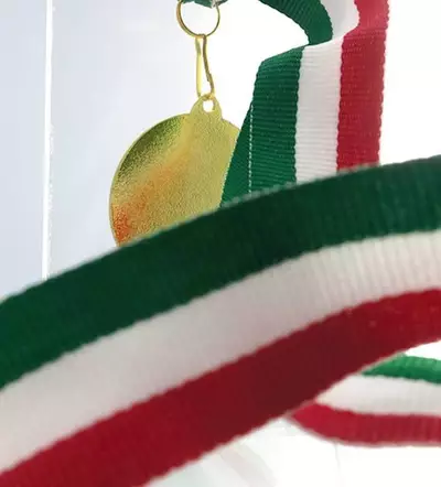 Snur Medalie Rosu /Alb /Verde [3]
