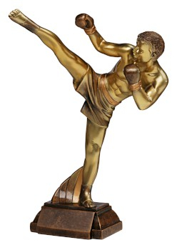 Trofee Rasina - Trofeu kickboxing din rășină 39649 bronz 29 cm – premiu arte marțiale și competiții sportive