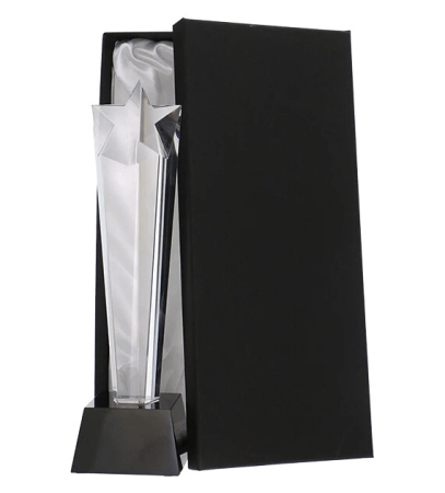 Trofee Sticla - Trofeu C081